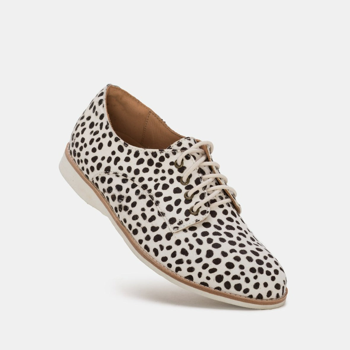 DERBY LIGHT WEIGHT LACE UP SHOE - ROLLIE